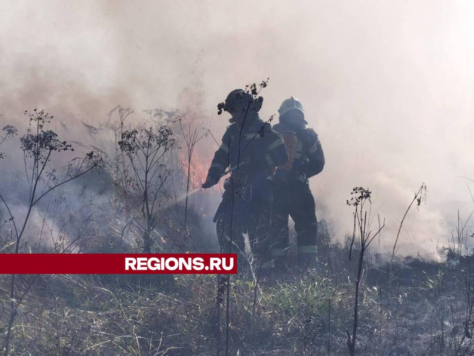 Фото: Дмитрий Зайчиков