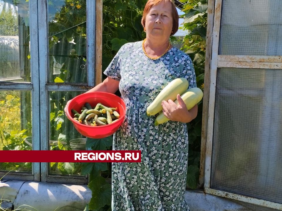 Фото: REGIONS/Наталья Широкая