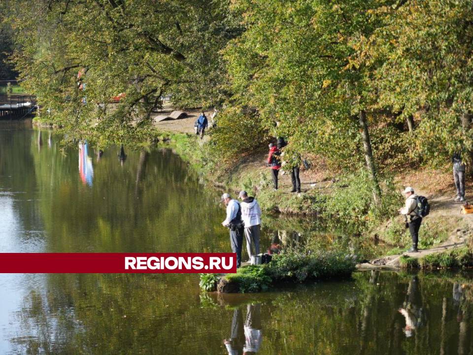 Фото: Дмитрий Зайчиков