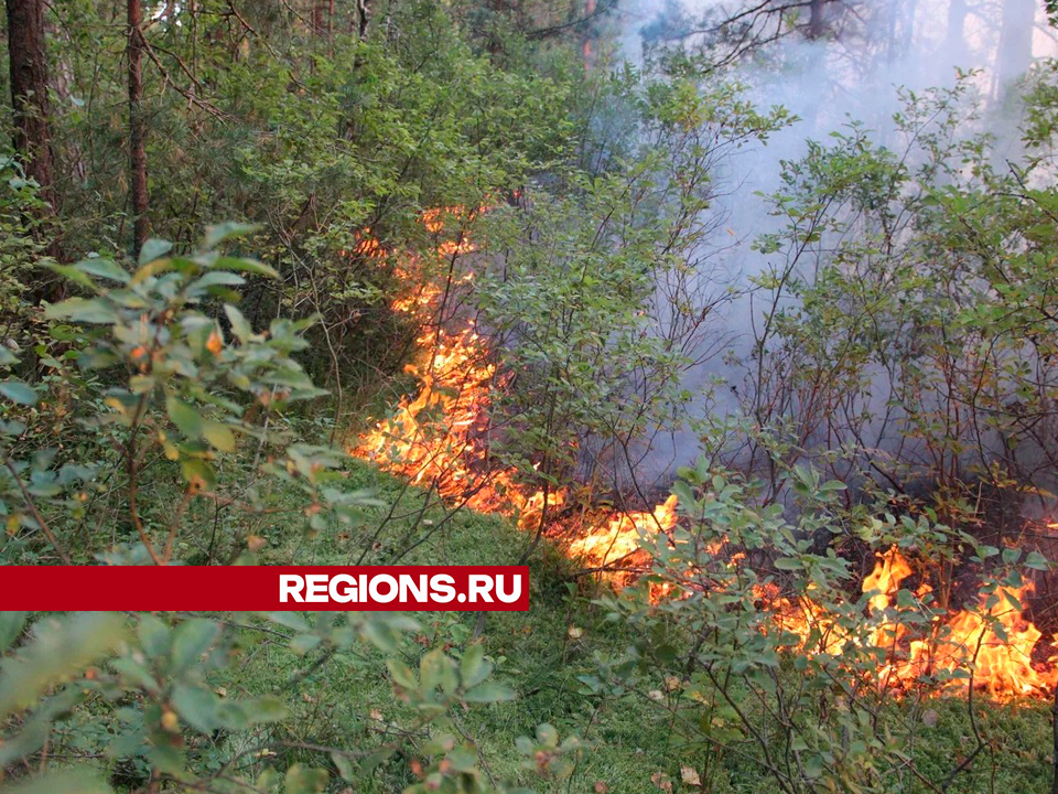 Фото: REGIONS/Василий Тремасов