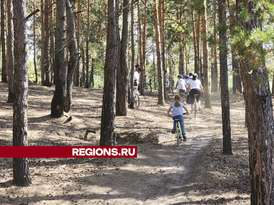 Фото: Андрей Семибратов