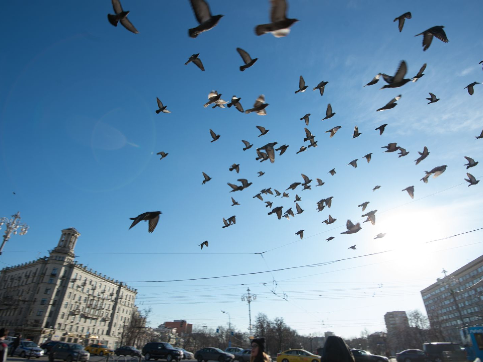 Фото: медиасток.рф 