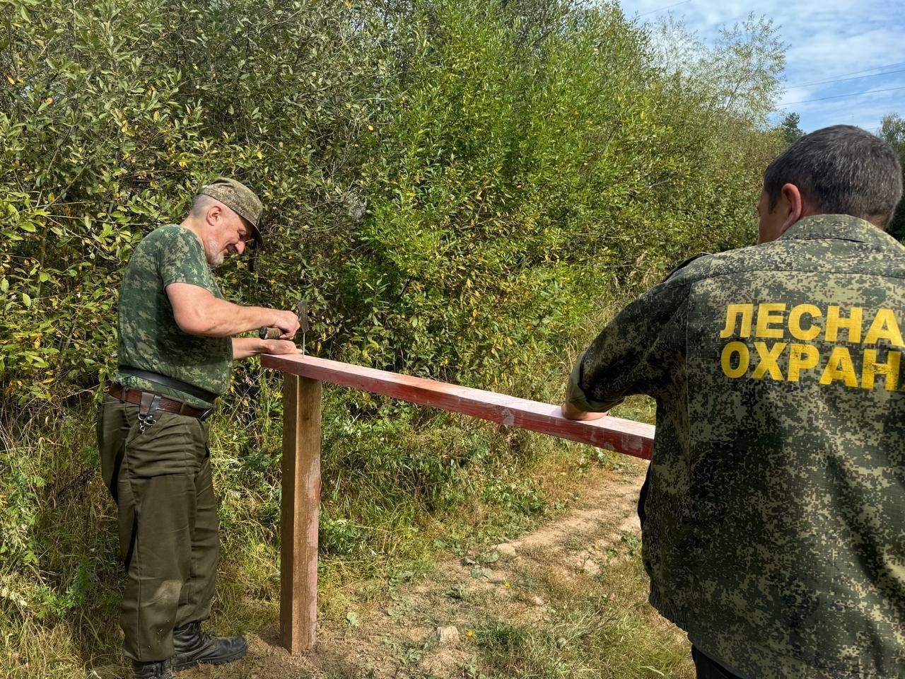 Фото: Комитет лесного хозяйства Московской области