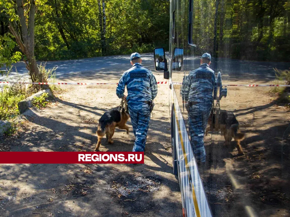 Фото: Алексей Грызлов