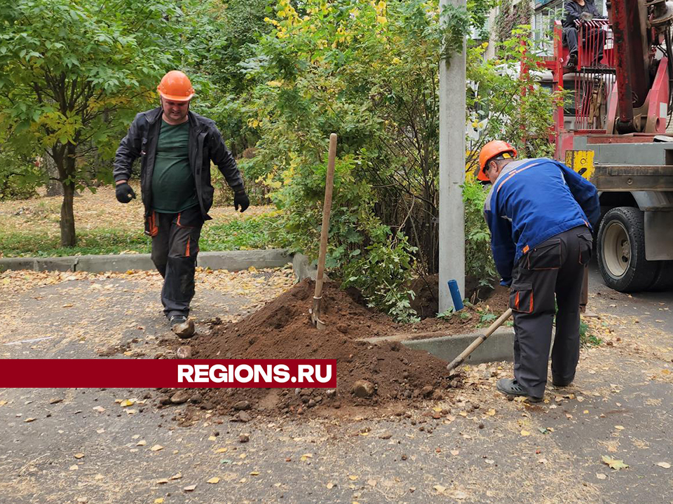 Фото: Ольга Шеметова