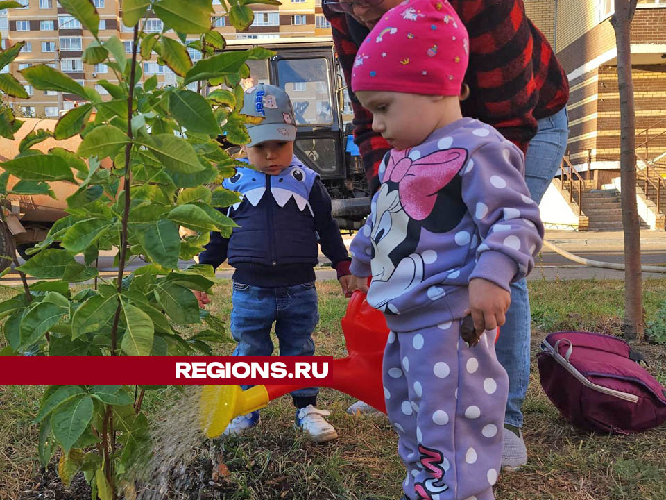 Фото: Валерия Тингаева