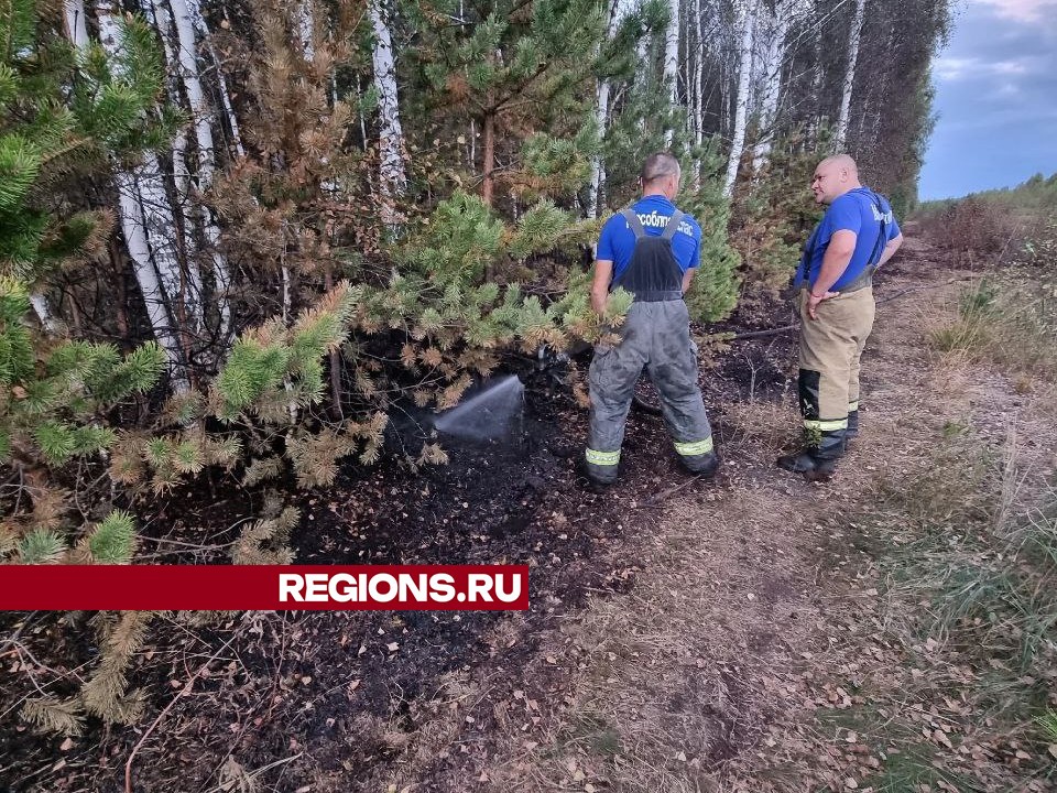 Фото: предоставлено REGIONS Ольгой Гринченко