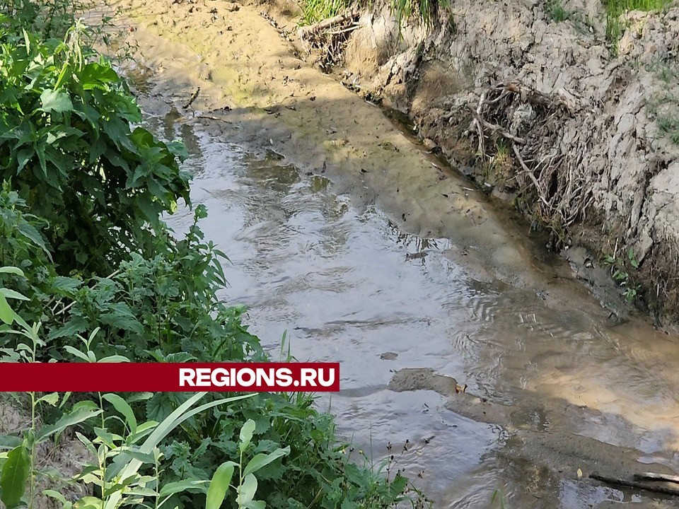 Фото: Никита Сморкалов