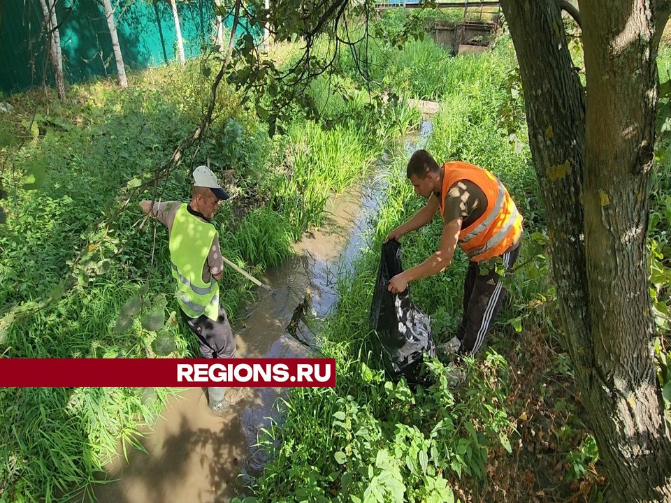 Фото: Никита Сморкалов