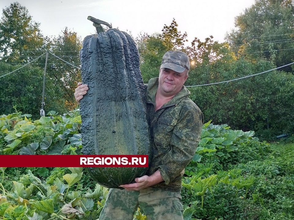 Фото: личный архив Андрея Гусева