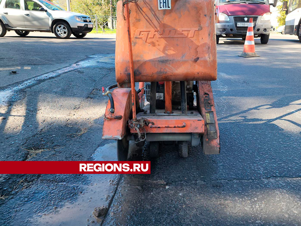 Фото: Михаил Мартыненко