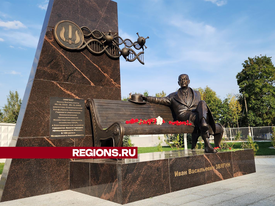 Фото: REGIONS/Валерия Тингаева