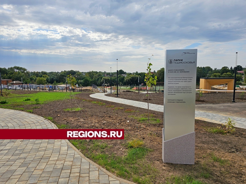 Фото: REGIONS/Александр Дрожжин