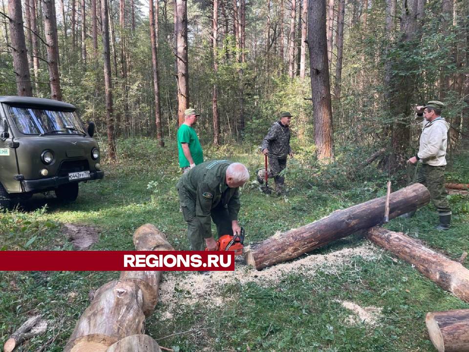 Фото: Евгений Рой