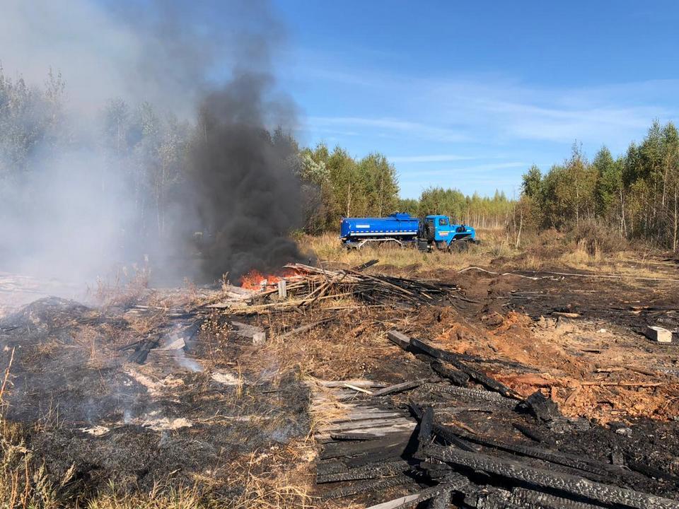 Фото: Комитет лесного хозяйства Московской области