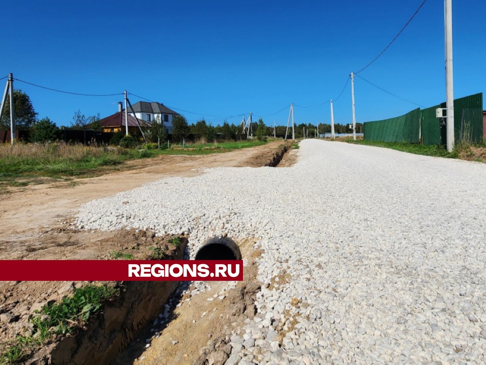 Фото: Дмитрий Алексеенко