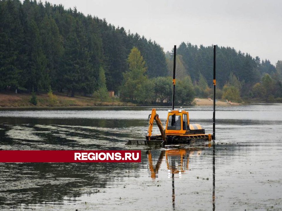 Фото: Дмитрий Зайчиков