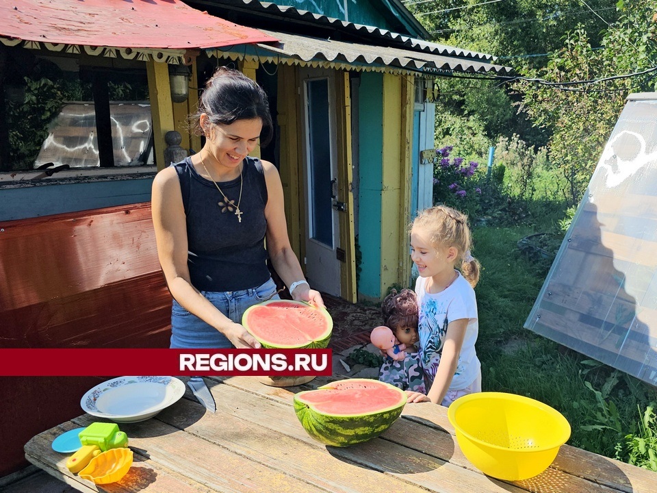 Фото: REGIONS/Александр Дрожжин