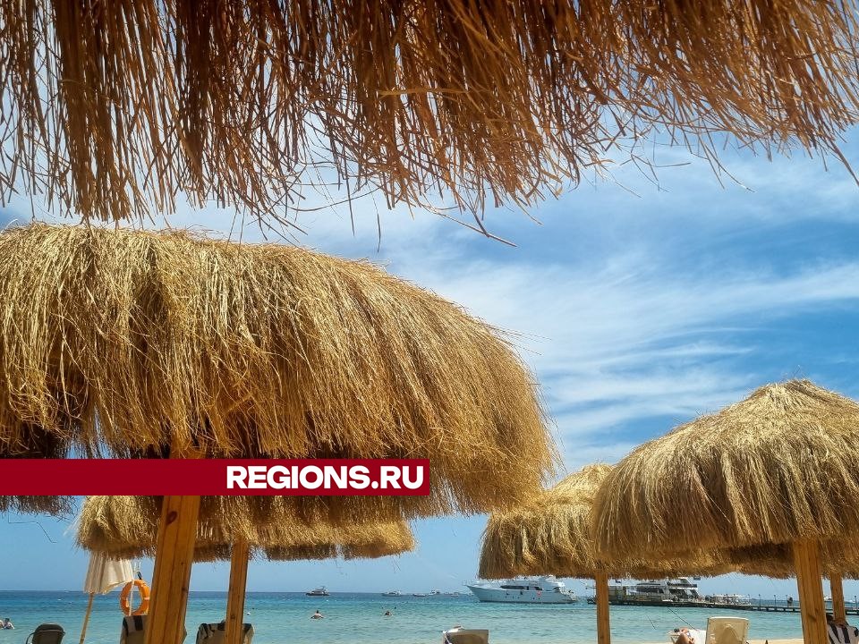 Фото: REGIONS/Ольга Ковалева