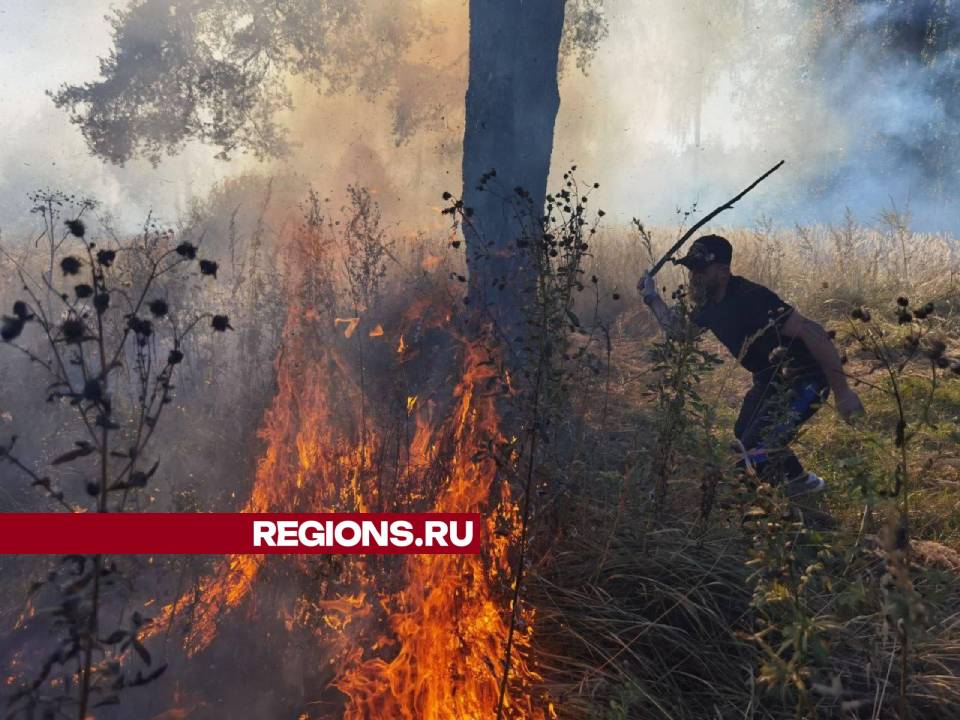 Фото: Дмитрий Зайчиков