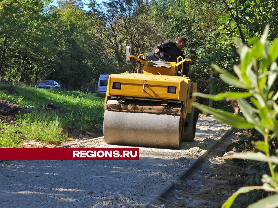 Фото: Валерия Тингаева