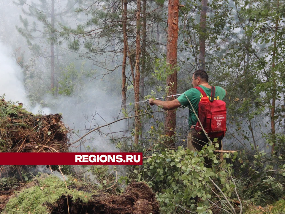 Фото: REGIONS/Василий Тремасов