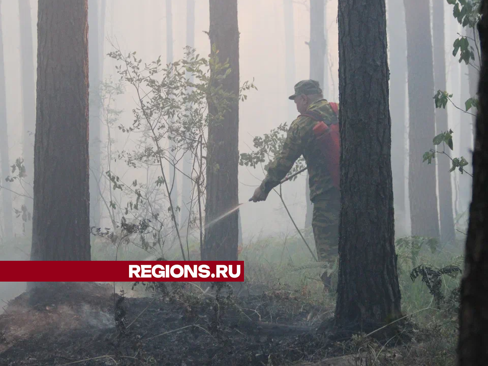 Фото: REGIONS/Василий Тремасов