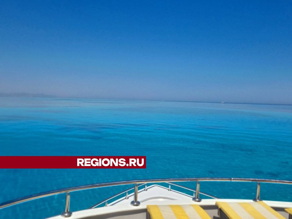 Фото: REGIONS/Ольга Ковалева