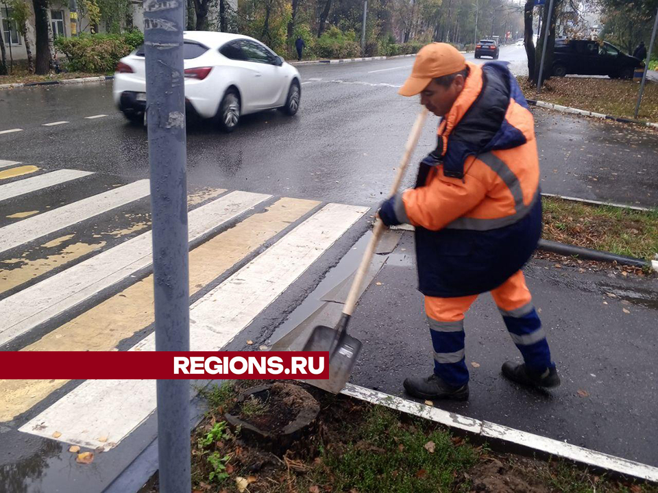Фото: Ольга Шеметова
