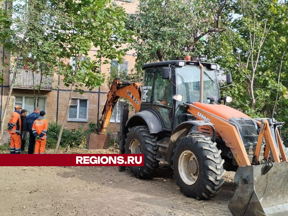 Фото: Ольга Шеметова