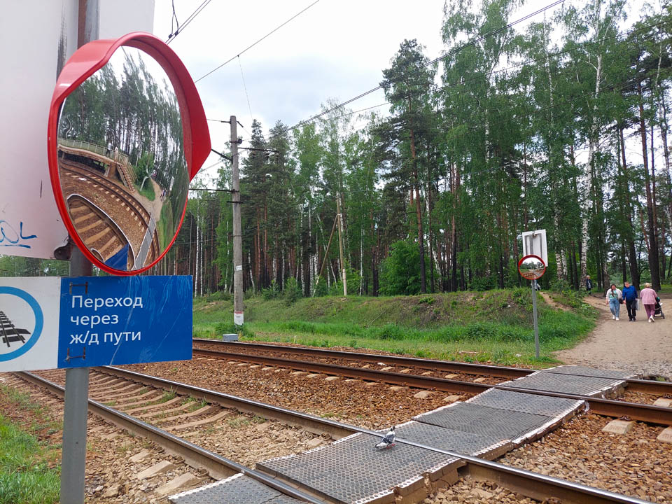 Фото: МедиаБанк Подмосковья/Светлана Плотникова