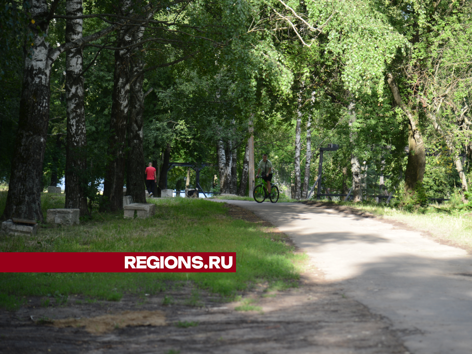 В парке 50-летия Октября летом. Фото: REGIONS/Нина Соколова