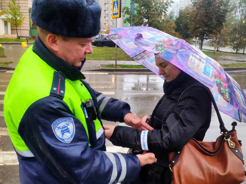 Фото: Госавтоинспекция Московской области