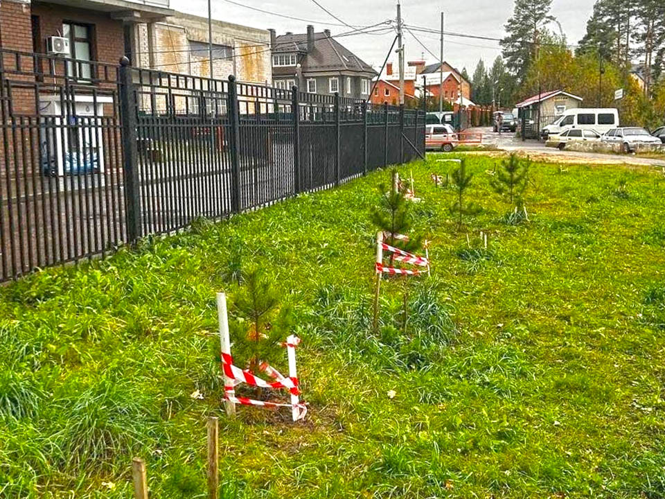 Фото: пресс-служба Администрации г. о. Красногорск