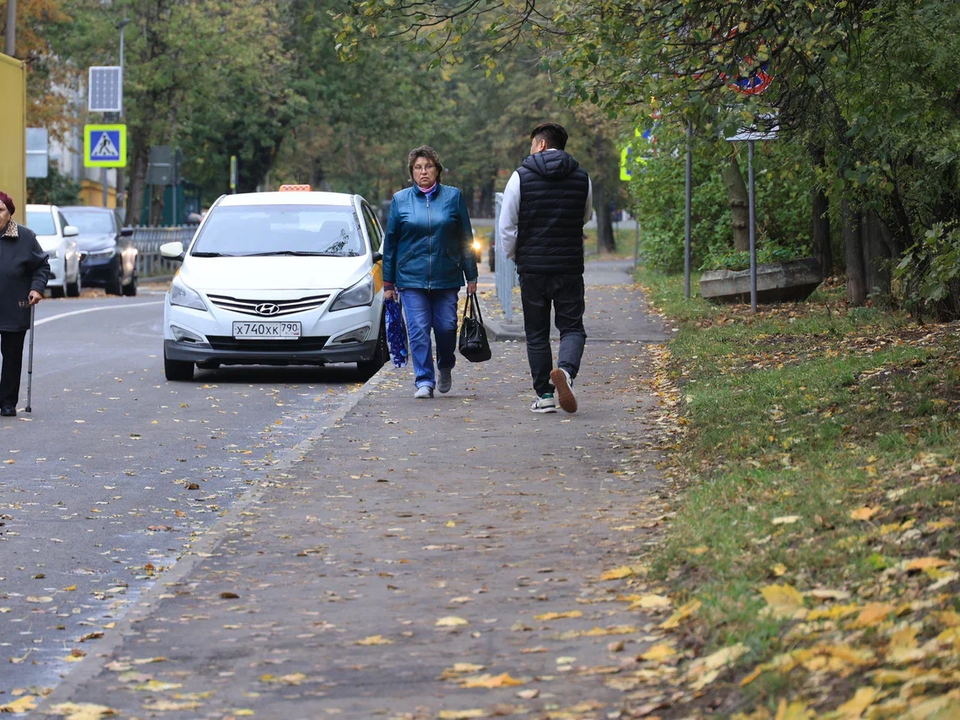 Фото: Алексей Грызлов