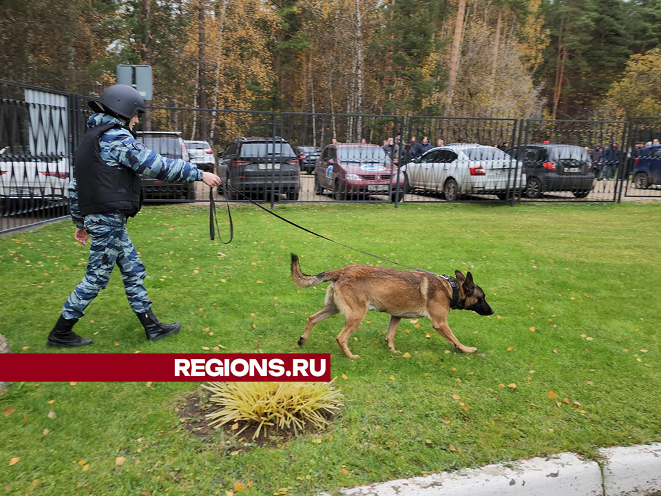 Фото: Ольга Шеметова