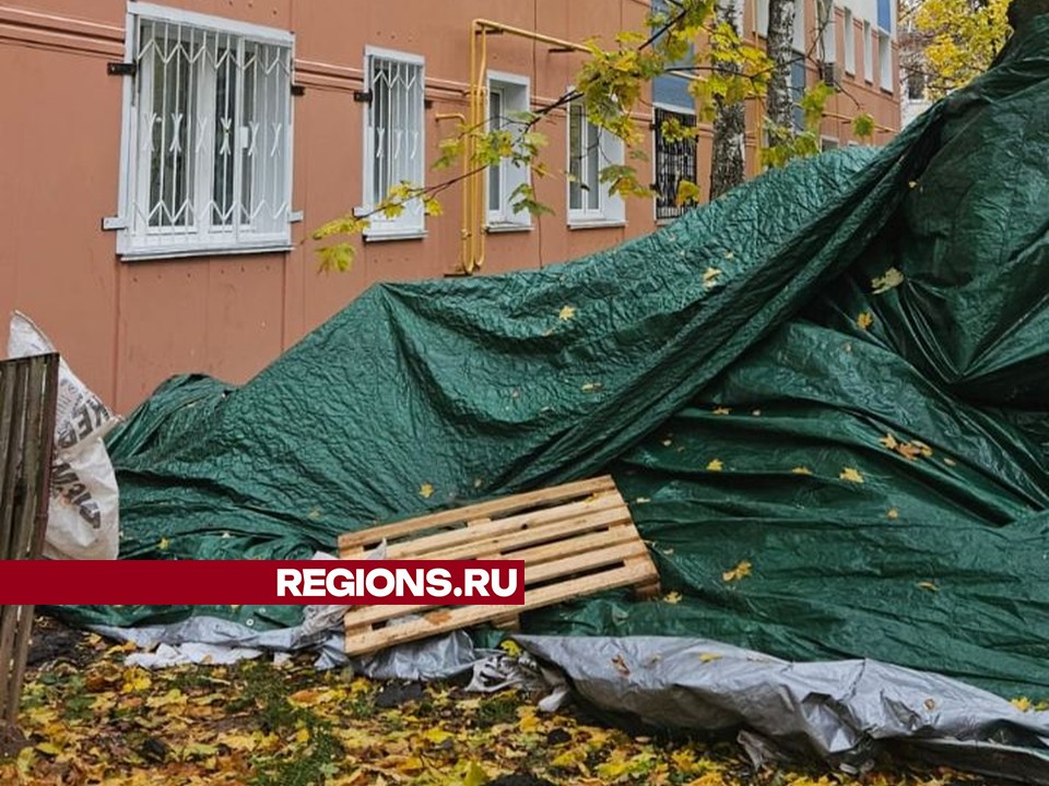 Фото предоставлено жительницей Жуковского