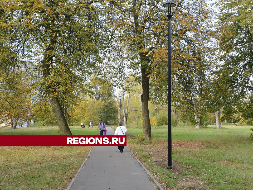 Фото: REGIONS/Наталья Бычкова