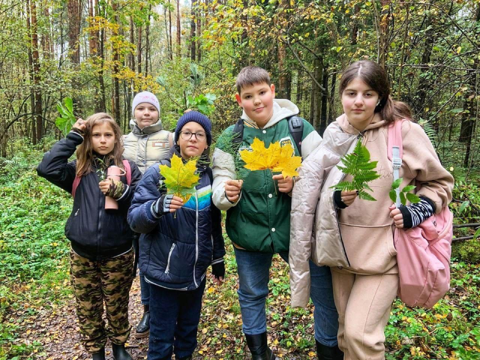 Фото: Комитет лесного хозяйства Московской области