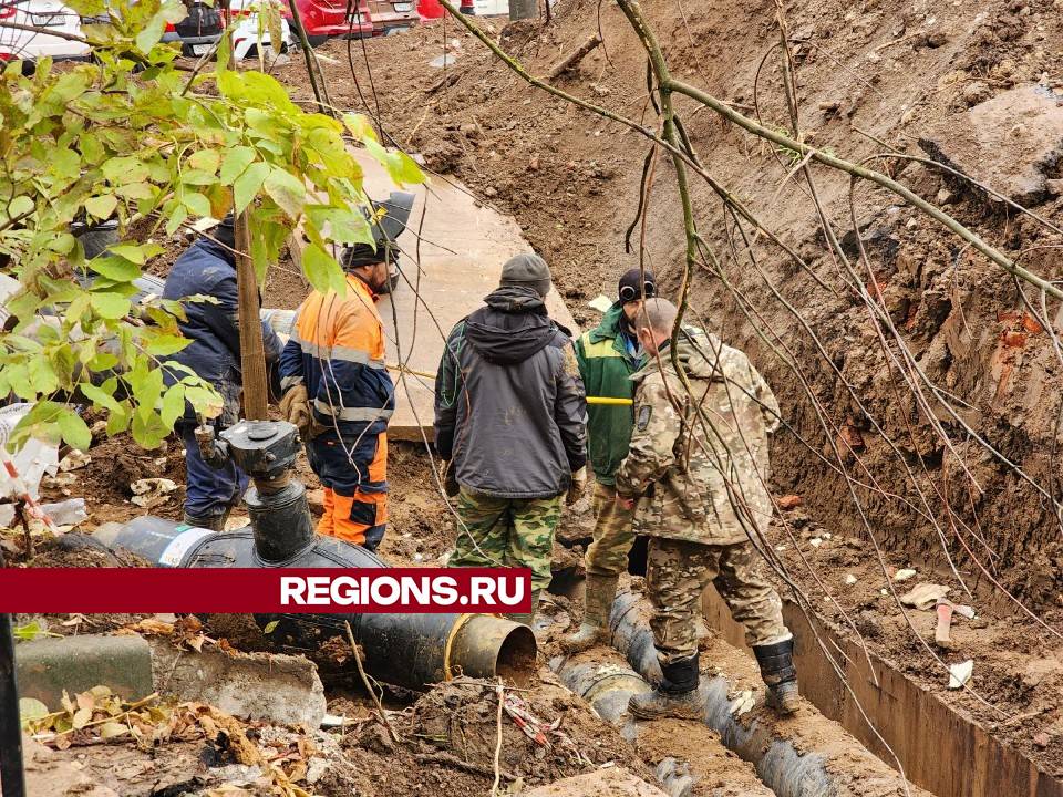 Фото: Мария Андрюхина