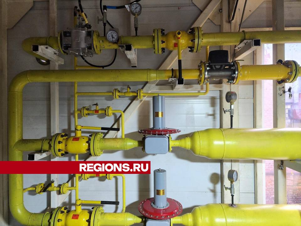 Фото: Светлана Плотникова