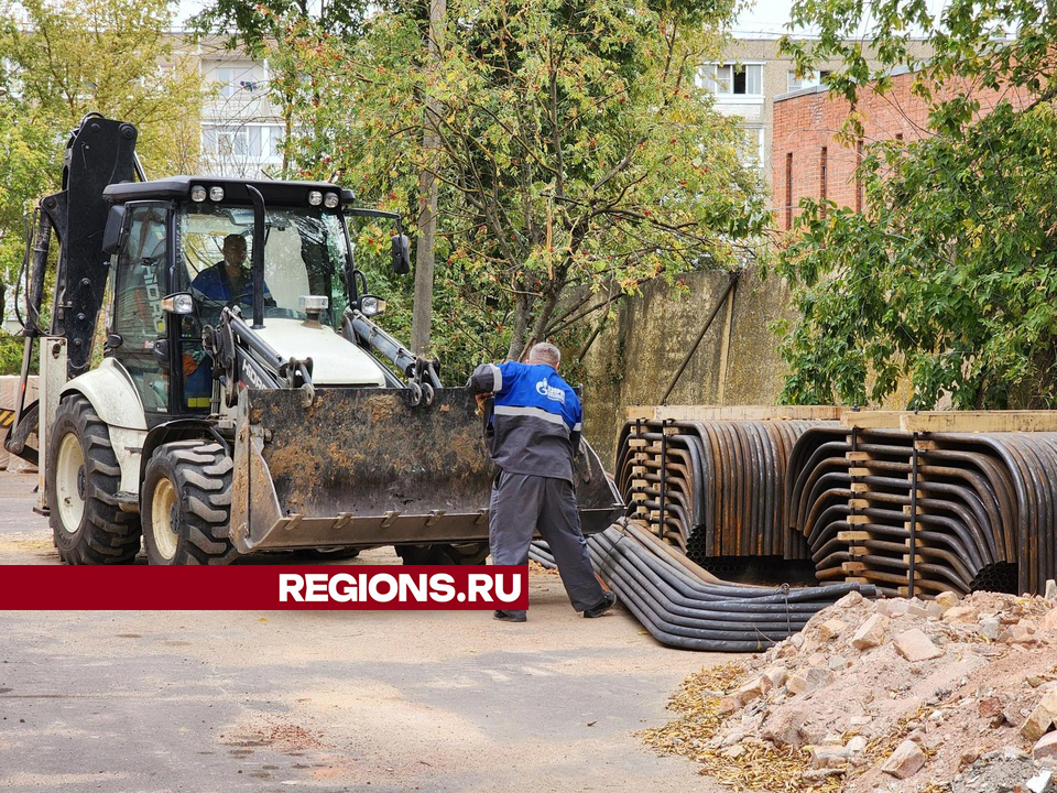 Фото: Светлана Плотникова