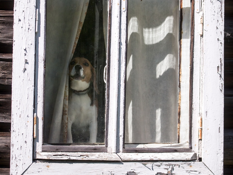 Фото: ТАСС/Сергей Бобылев