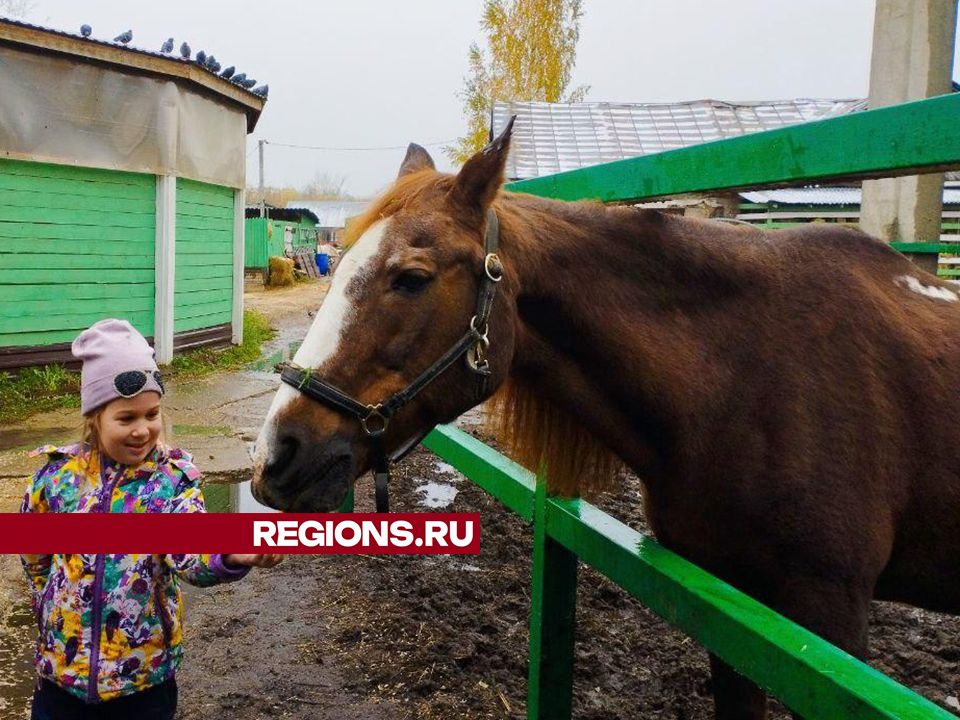 Фото: Ольга Шеметова