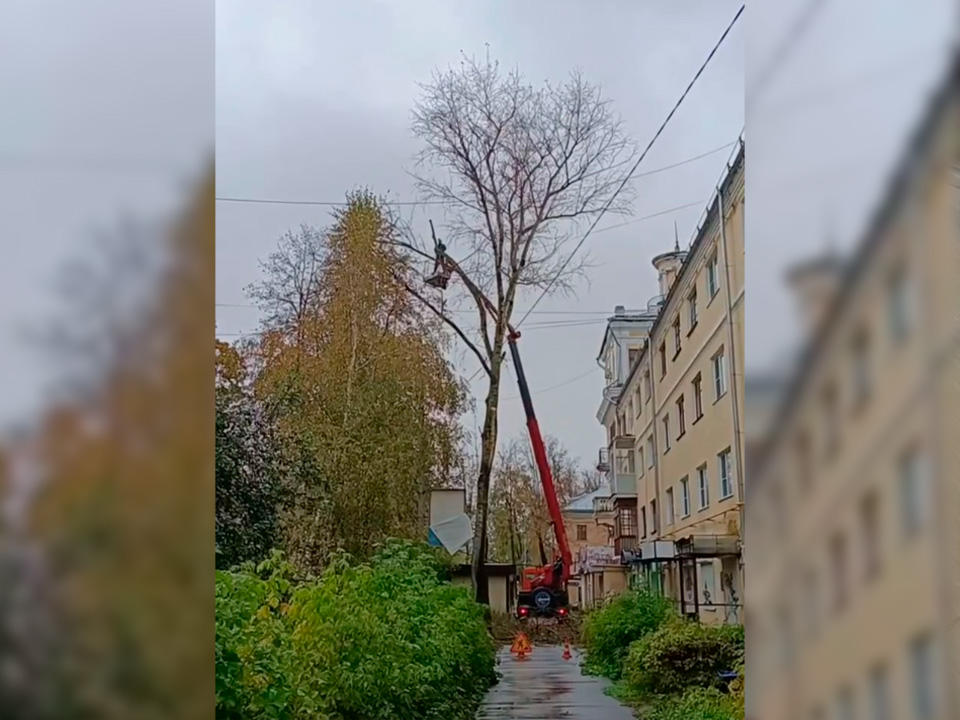 Фото: пресс-служба Администрации г.о. Воскресенск