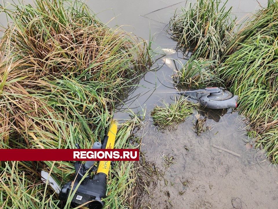 Фото: Никита Сморкалов