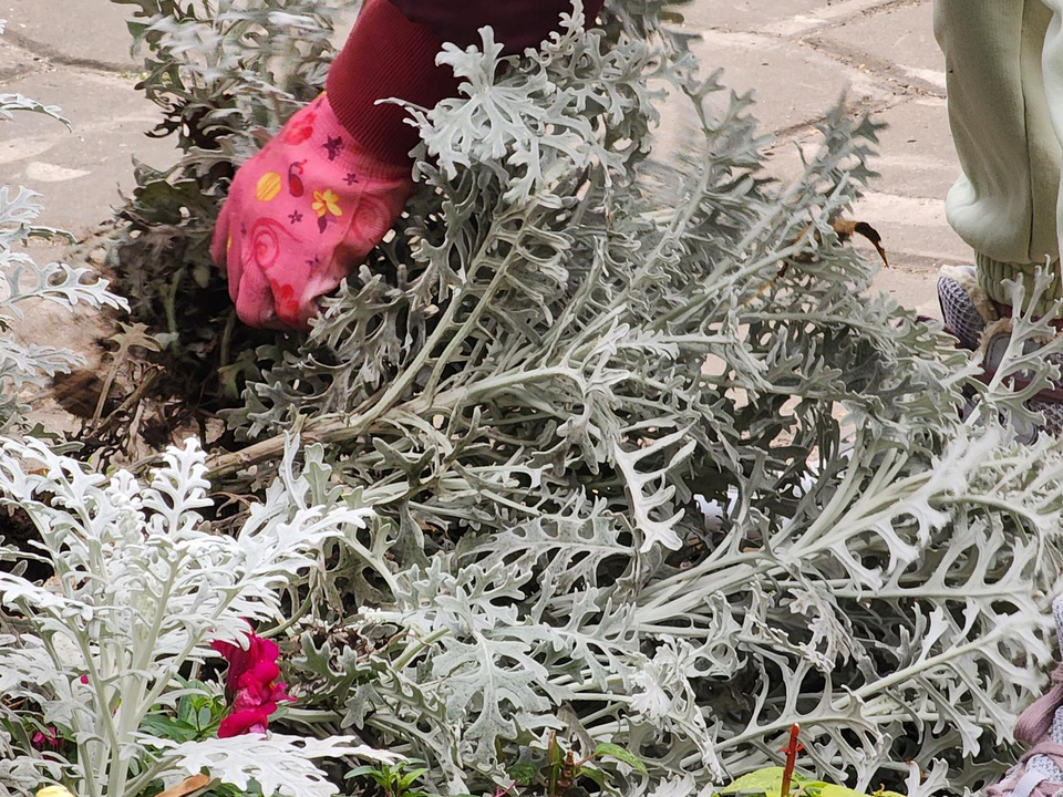 Фото: Мария Юдина