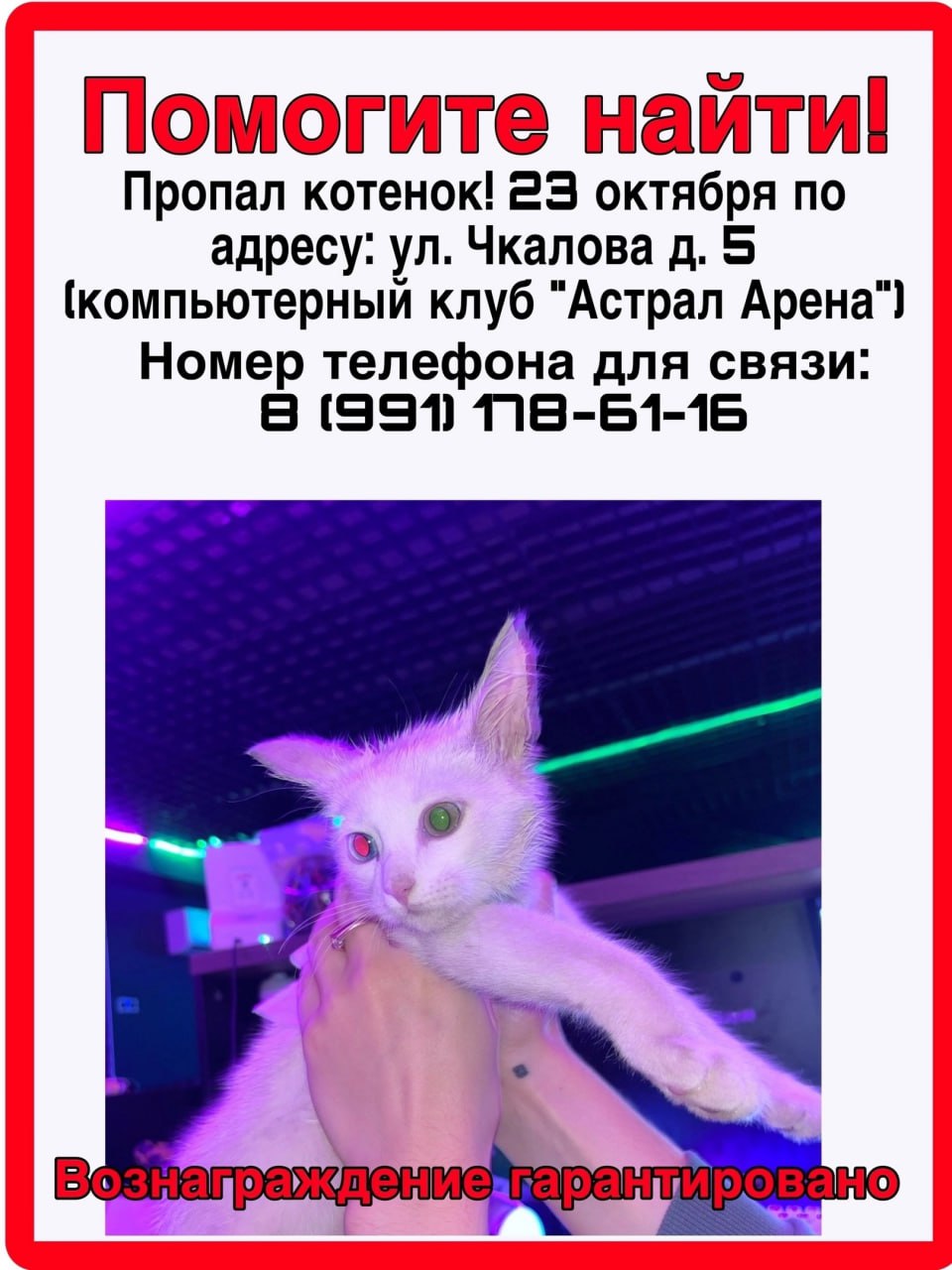 Фото: компьютерный клуб «Астрал»