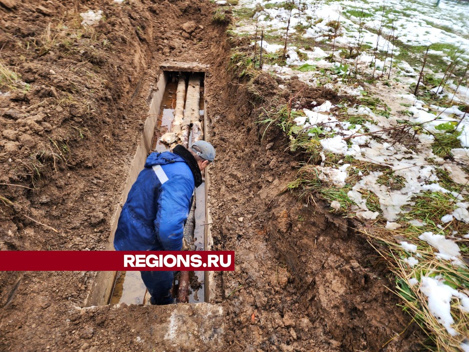 Фото: Дмитрий Алексеенко