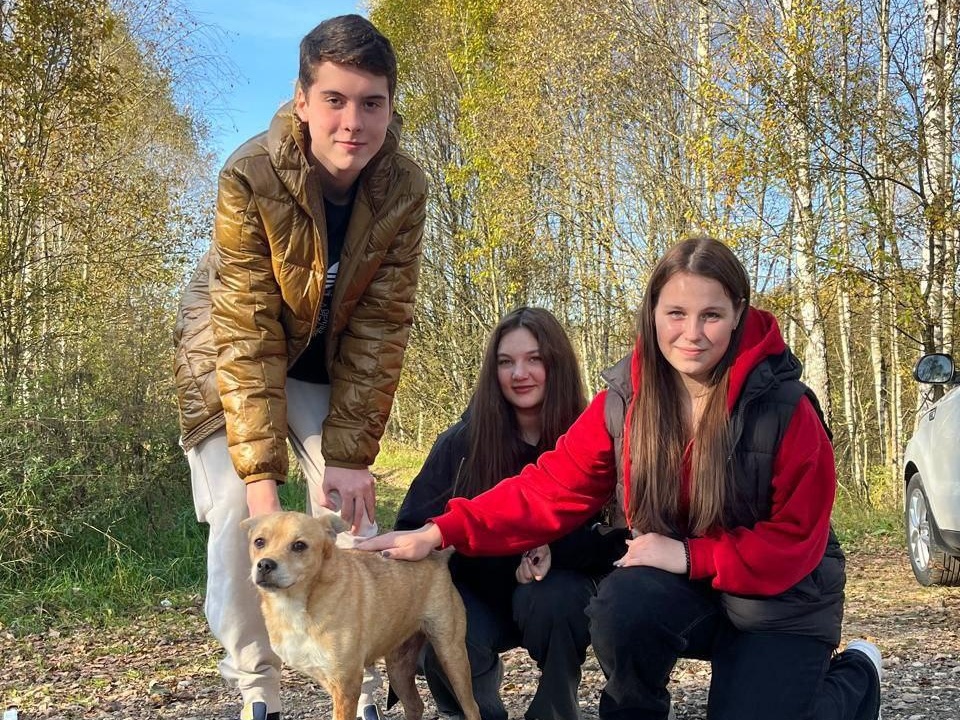 Фото: Дмитровская школа №5